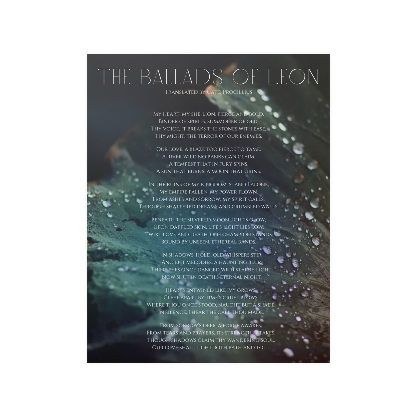 The Ballads of Leon - Satin Poster