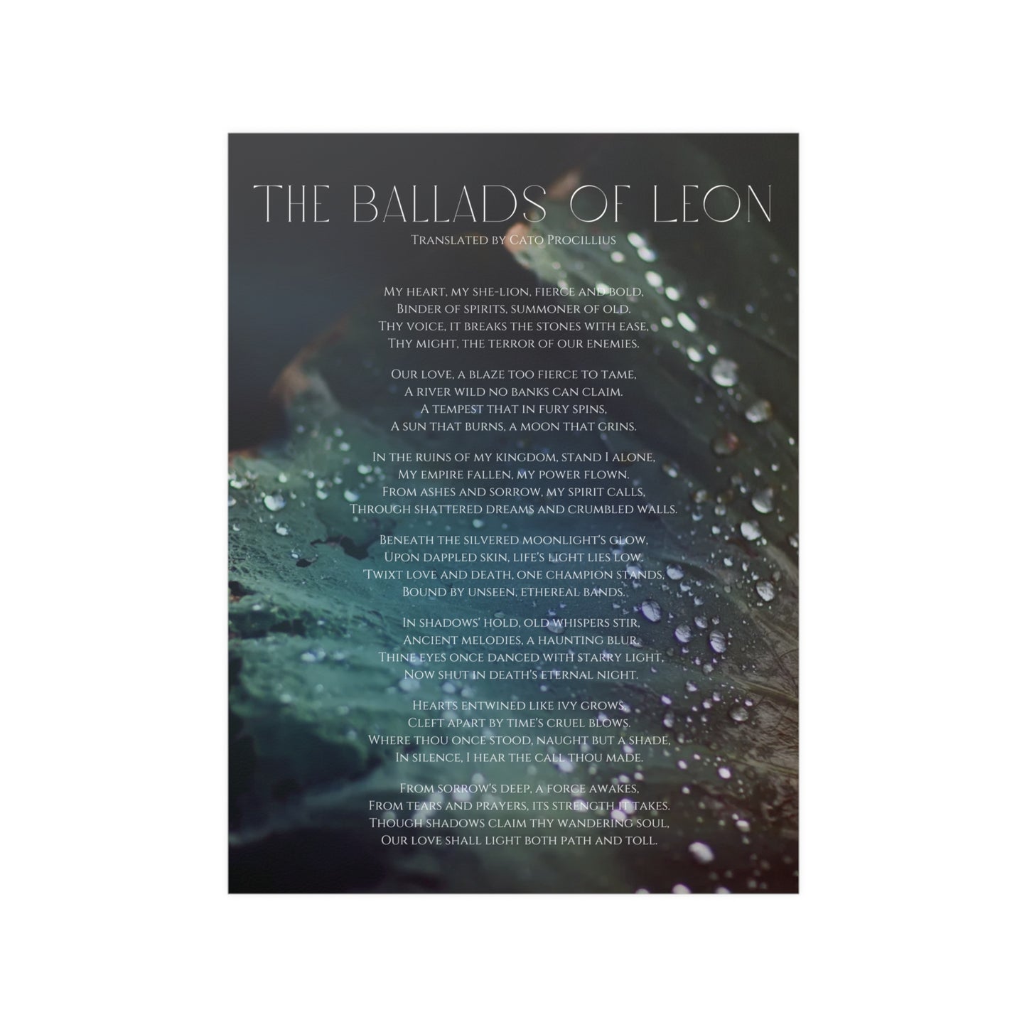 The Ballads of Leon - Satin Poster